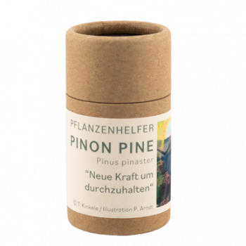 Piñon Pine Pflanzenhelfer in 30ml Pappdose